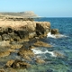 Cape greko 001