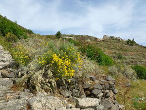 Widać zabudowania Montagna