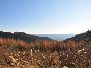 Bieszczady 1