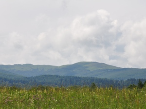 Bieszczady 11