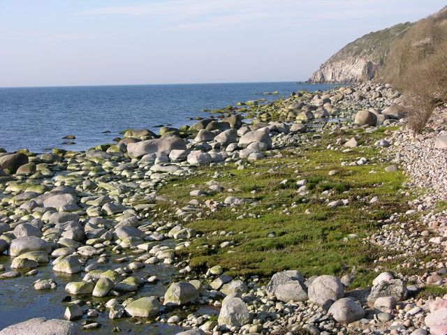 Dscn5333