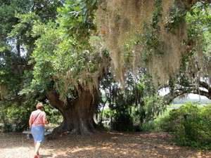 Charleston (SC)