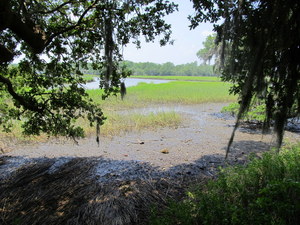 Charleston (SC)