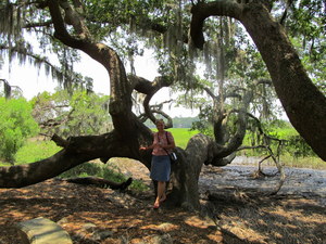 Charleston (SC)