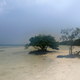 Lower Matecumbe Key (FL)