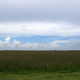 Everglades NP (FL)