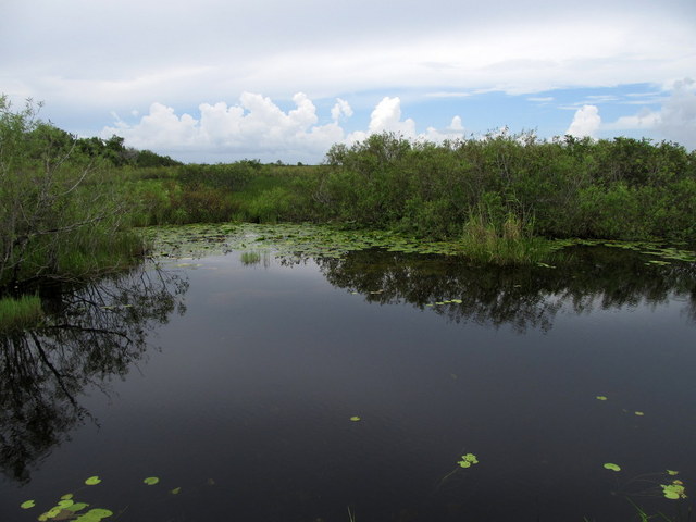 Everglades NP (FL)