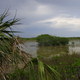Everglades NP (FL)