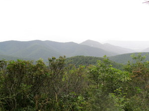 Shenandoah NP (VA)