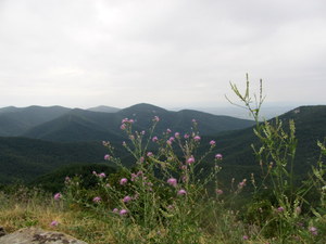Shenandoah NP (VA)