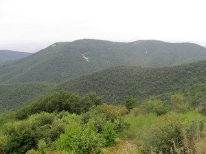 Shenandoah NP (VA)