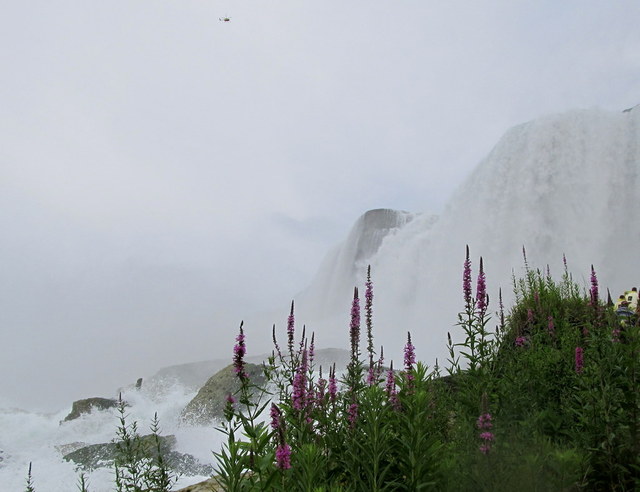 Niagara Falls (NY)