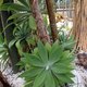 Szwajcaria 05 10 1074