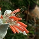 Szwajcaria 05 10 1021