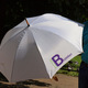 parasol iBedekerowa
