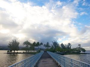 Coconut Island