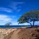 Lapakahi State Historical Park