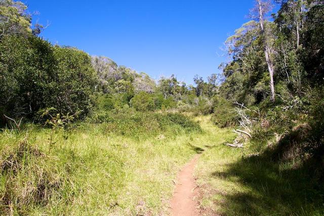 Nualolo Trail