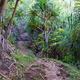 Kalalau Trail