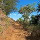 Kalalau Trail