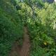 Kalalau Trail