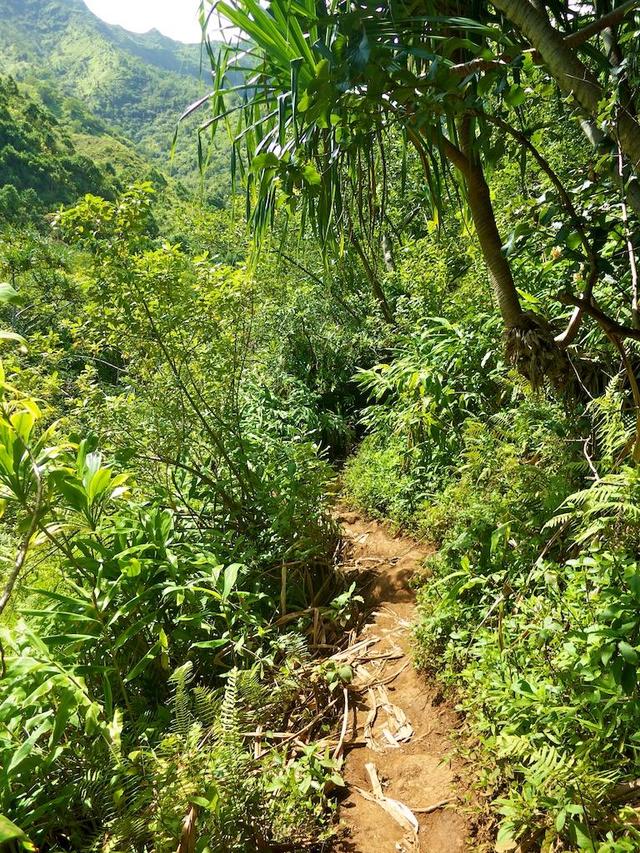 Hanakapi'ai Falls Trail