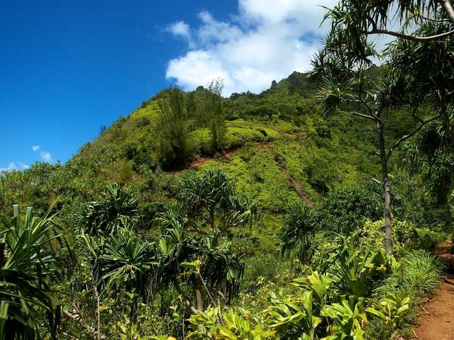 Kalalau Trail droga powrotna (tworzący Z)