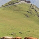 Kazbegi