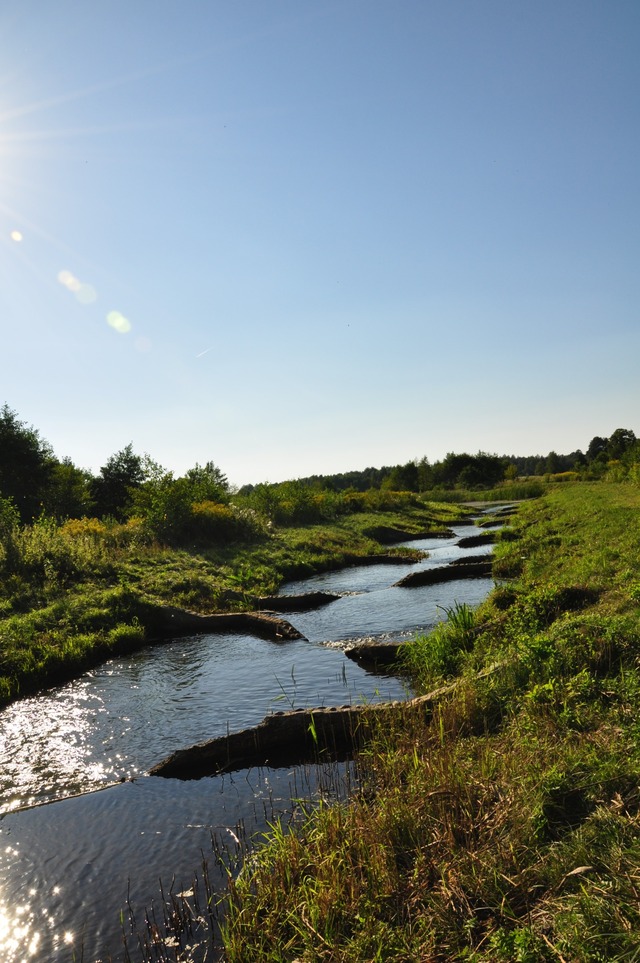 Bolimowski Park Krajobrazowy