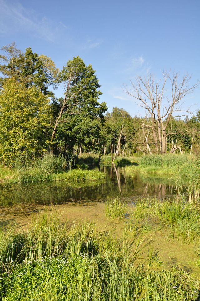 Bolimowski Park Krajobrazowy