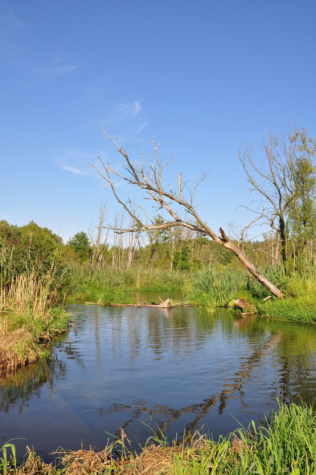 Bolimowski Park Krajobrazowy