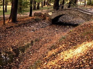 Mostek w Parku Żywieckim