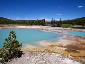 Biscuit Basin