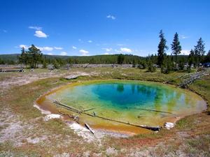 Biscuit Basin