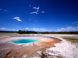 Lower Geyser Basin