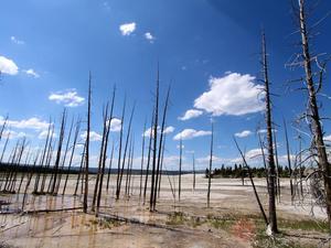 Lower Geyser Basin