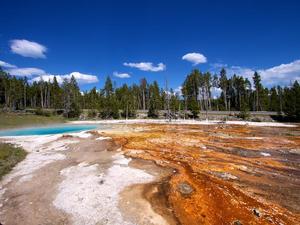 Lower Geyser Basin