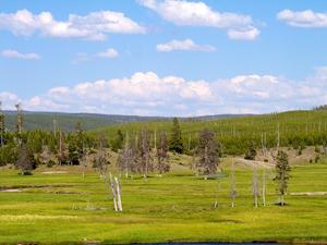 Yellowstone