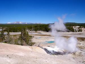 Norris Geyser Basin