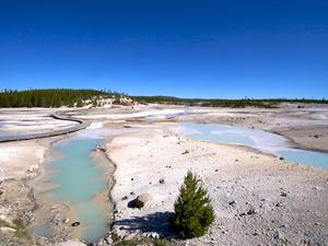 Norris Geyser Basin