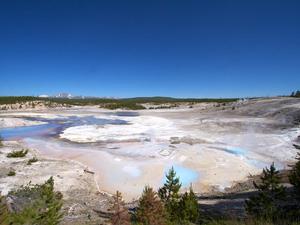 Norris Geyser Basin