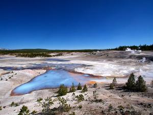 Norris Geyser Basin