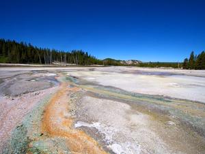 Norris Geyser Basin