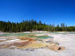 Norris Geyser Basin