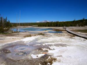 Norris Geyser Basin