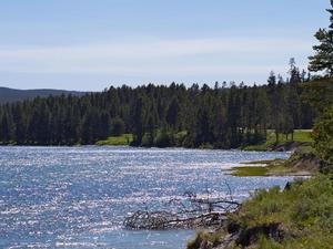 Jezioro Yellowstone