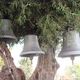 dzwonica w Agios Georgios Krimnon