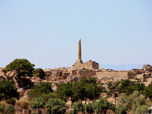 Egina -samotna kolumna ze Świątyni Apollina 