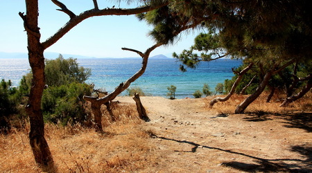 Egina- plaża przy świątyni 