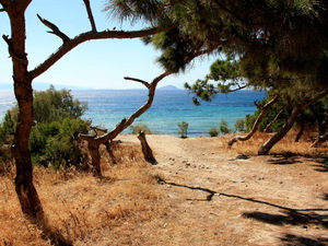 Egina- plaża przy świątyni 